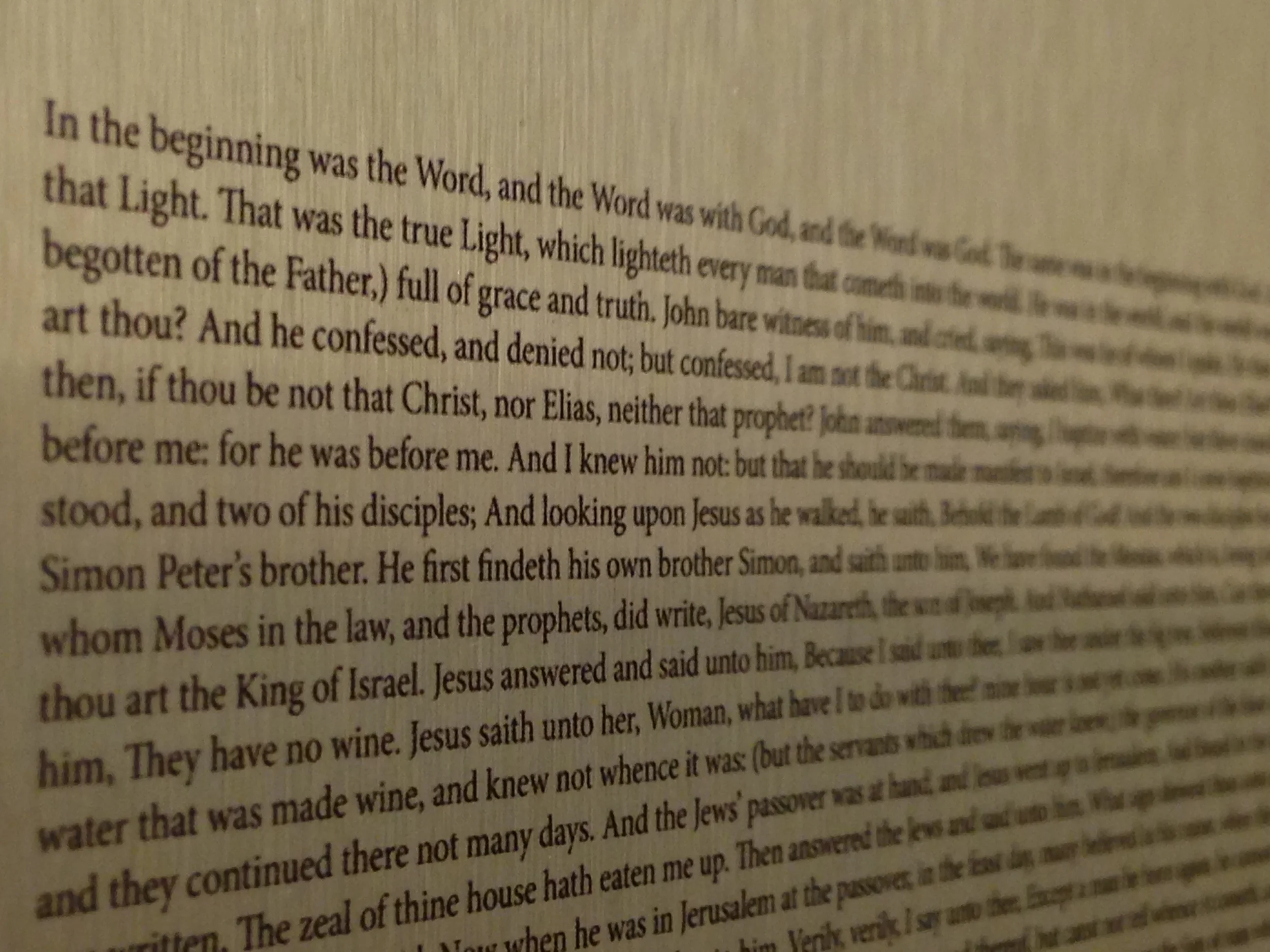 Metal John close up.JPG