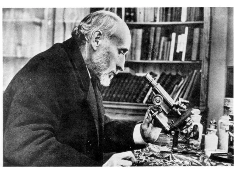 Ask a Neuroscientist!  –  Seeing Colors