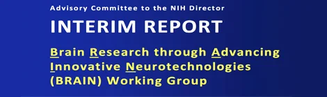 BRAIN Initiative Interim Report: A Readers Guide