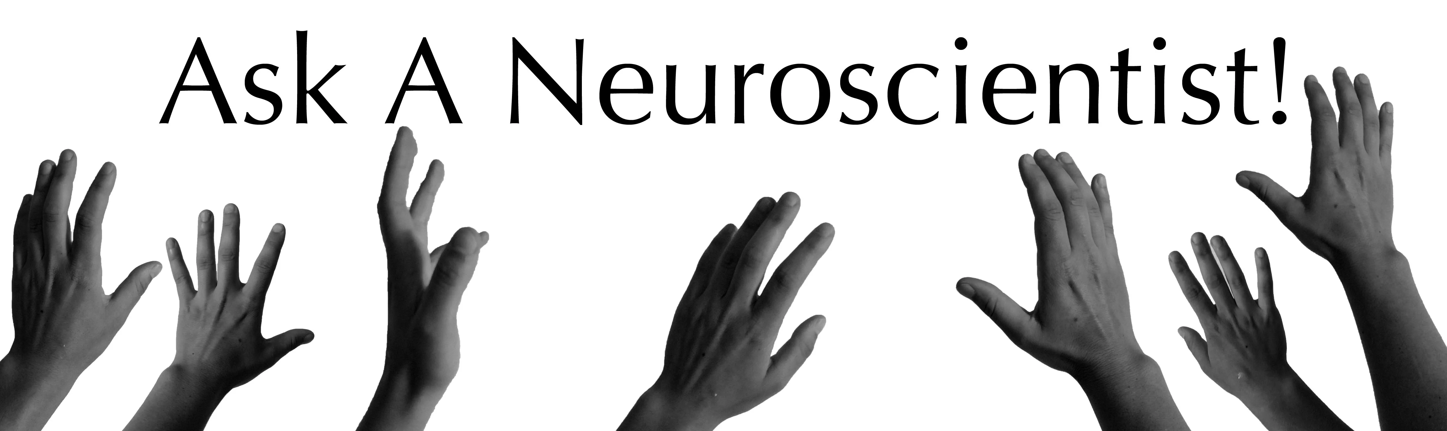 Ask a Neuroscientist: Motor Skills and Handedness