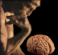 brain thinker4.jpg