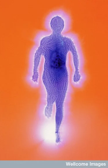 Ask a Neuroscientist: Does the brain have an energy budget?