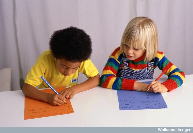 Ask a Neuroscientist: A Spectrum of Handedness