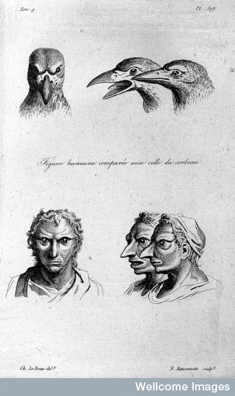 Ask a Neuroscientist: Auditory Hallucinations