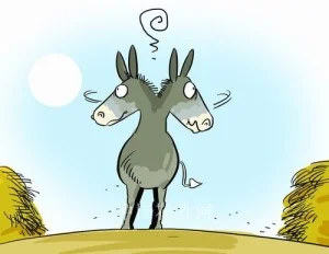 A Surprising Use for Randomness in the Brain