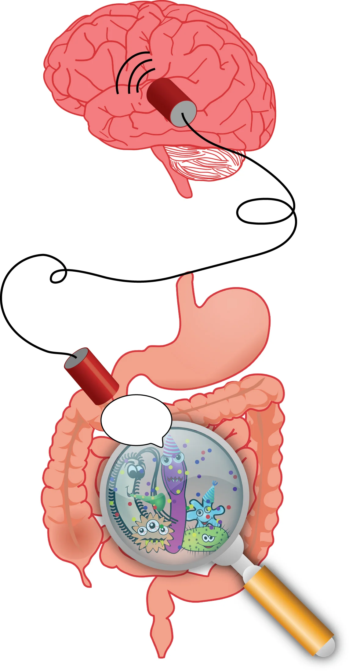 New in Neuroscience: Microglia in your brain put their trust in your gut