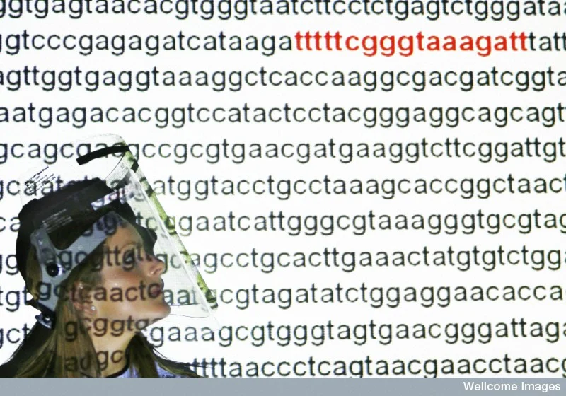 RNA Circles In Your Brain: Noise or a New Class of Genetic Regulators?