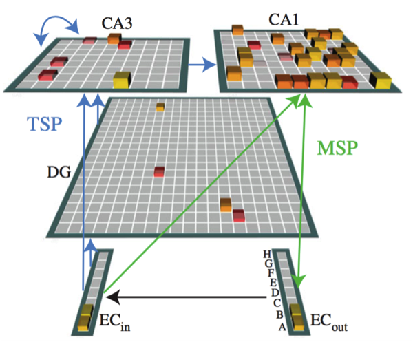 Complementary Learning Systems within the Hippocampus: Reconciling Episodic Memory with Statistical Learning
