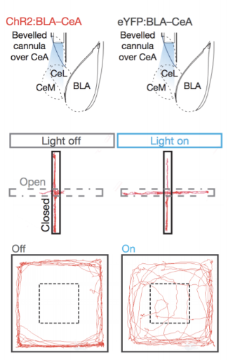 Figure 1, taken from Tae et al. 2011 Nature