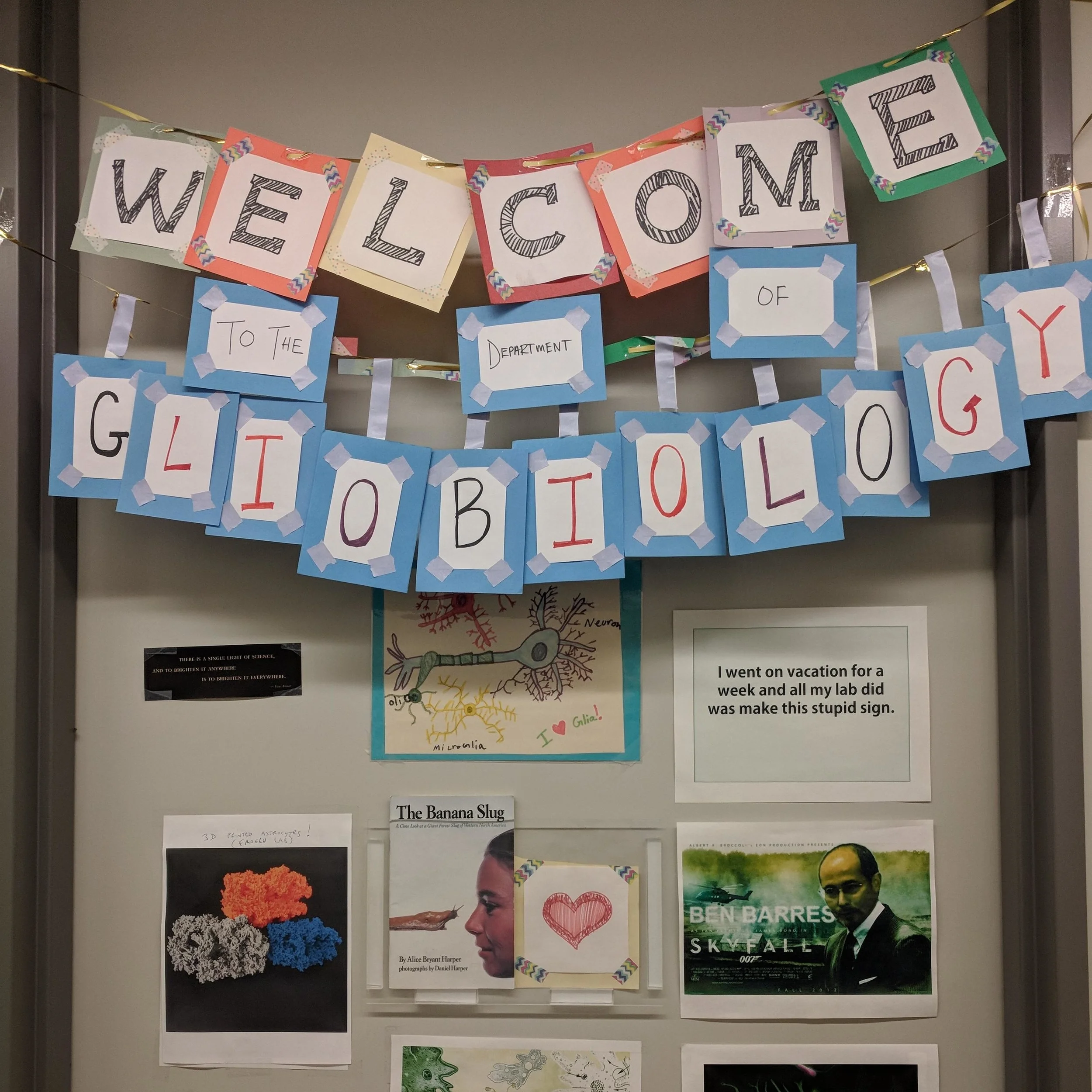 The door to Ben's office remains a testament both to the welcoming atmosphere that Ben cultivated in his own lab and to the affection his trainees bore for him. They decorated their beloved advisor's door every time he went on a trip.