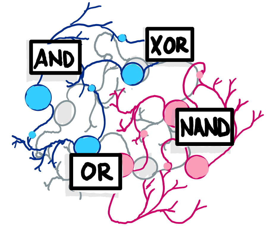 Can we reverse engineer the brain like a computer?