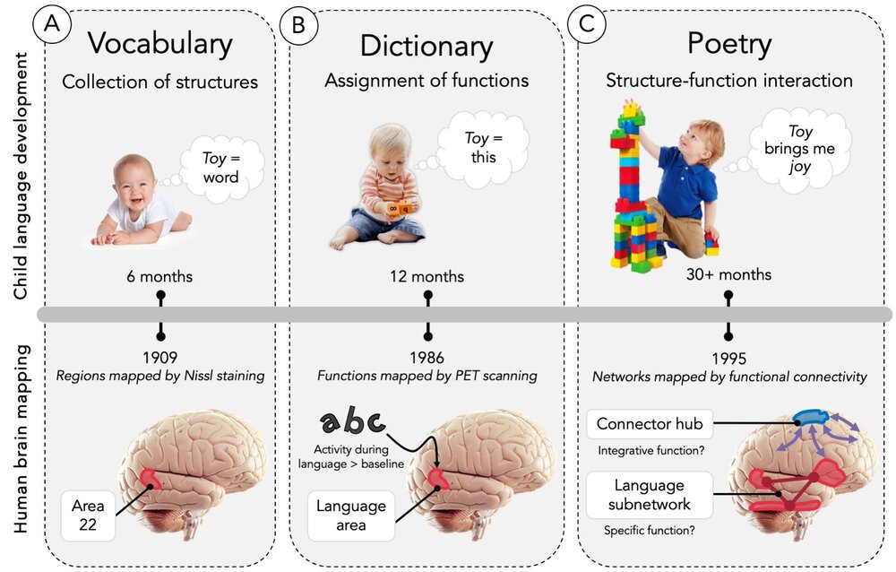 A brief history of our language for the brain:  Vocabulary, dictionary, and poetry