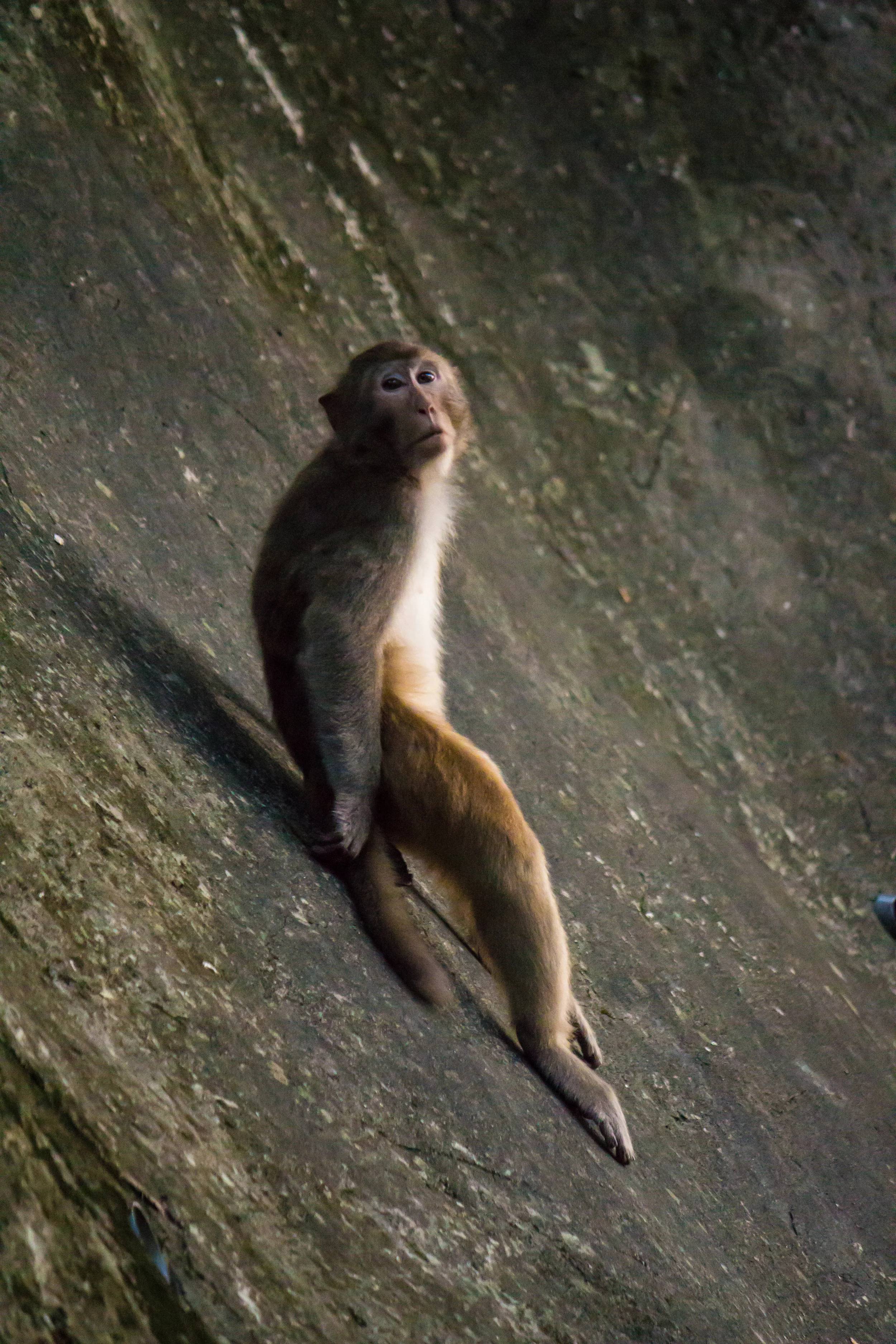 IMG_6520-3.jpg