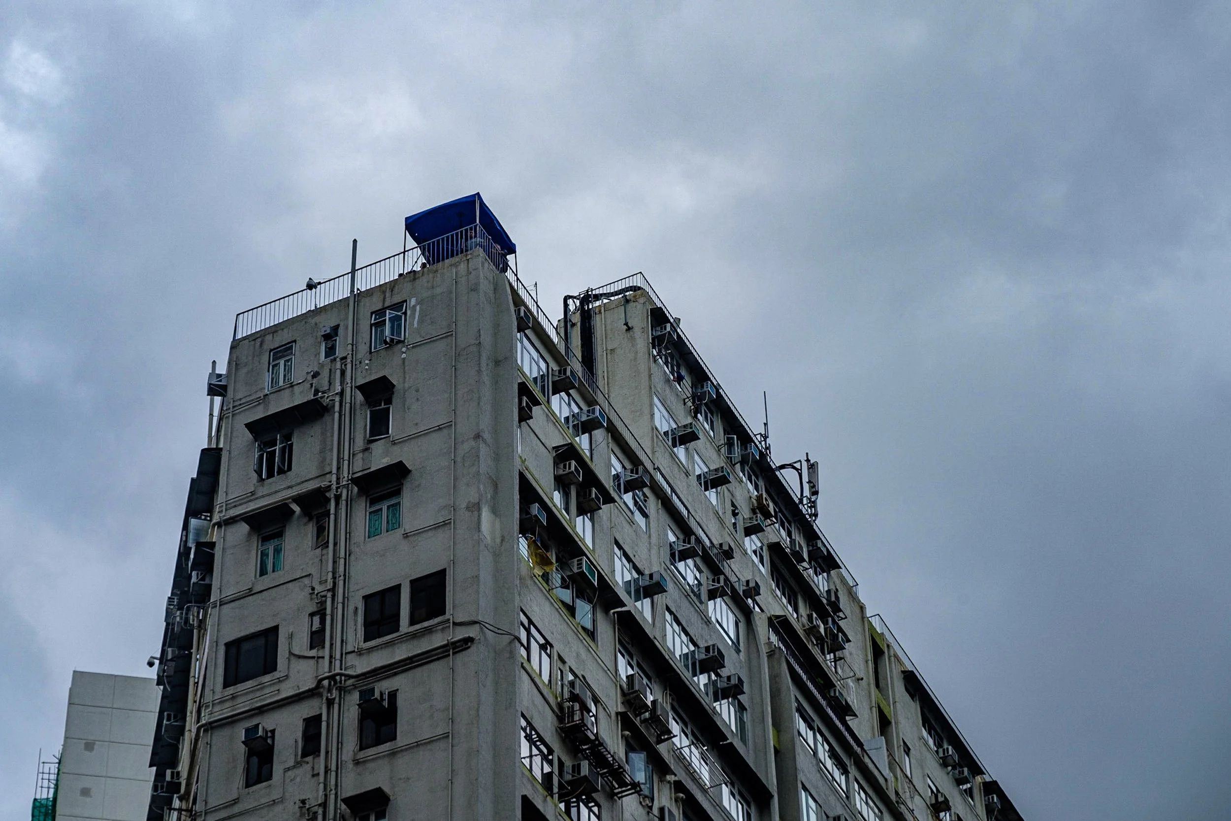 DSCF1568.jpg