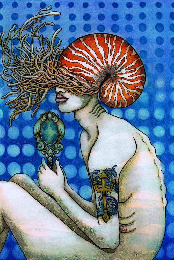nautilus 1 - for web.jpg