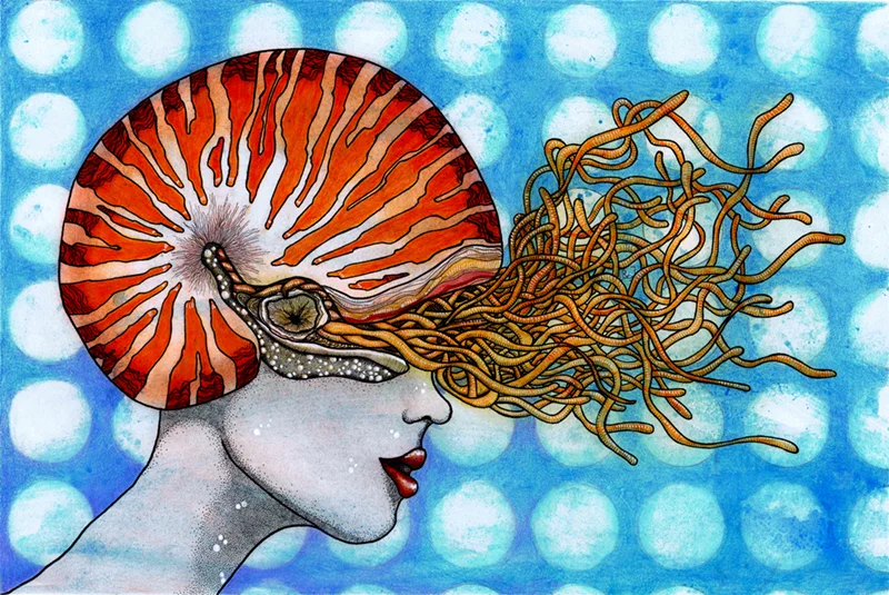 nautilus 2 - for web.jpg