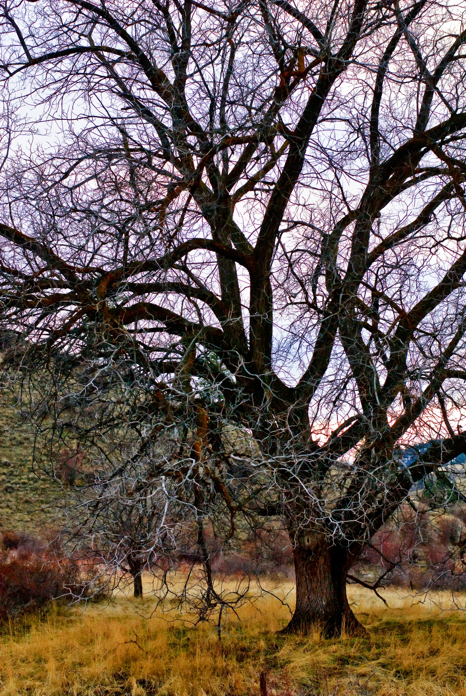 020610_3869-1500px.jpg