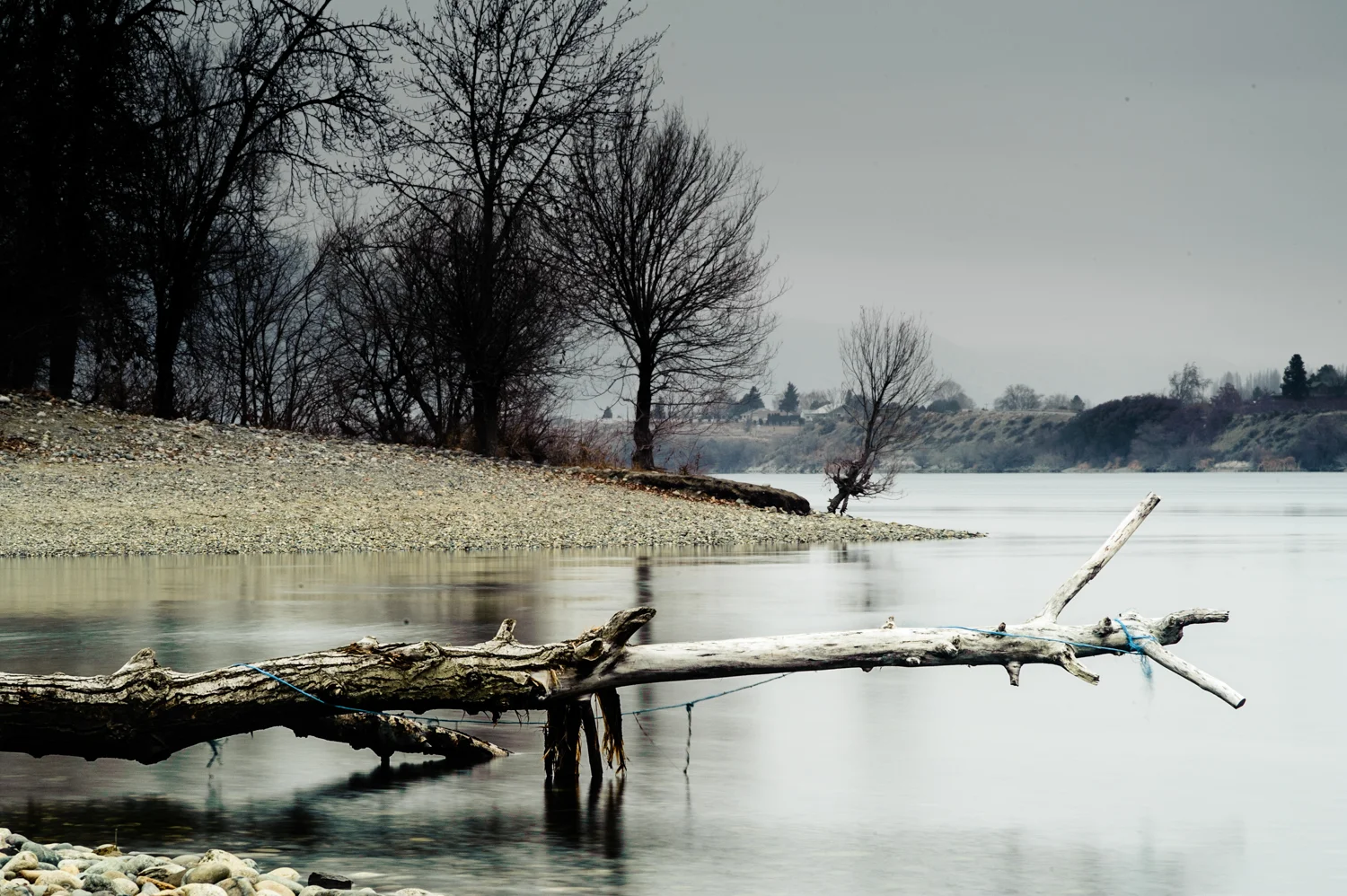 _TKD2117-Edit-1500px.jpg
