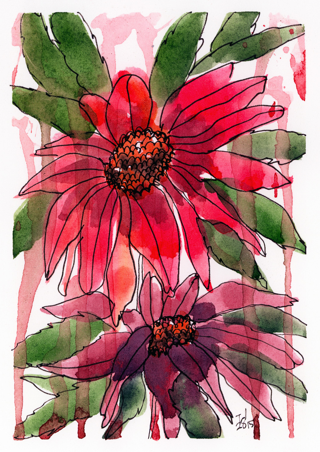 Poinsettia 1