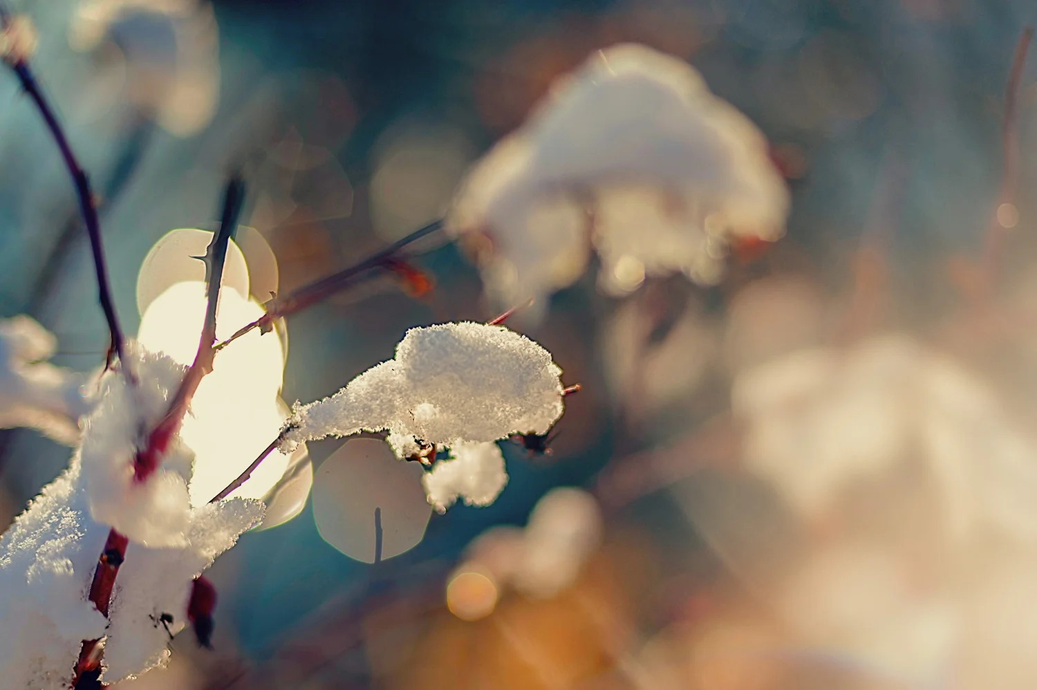 Fall Snow