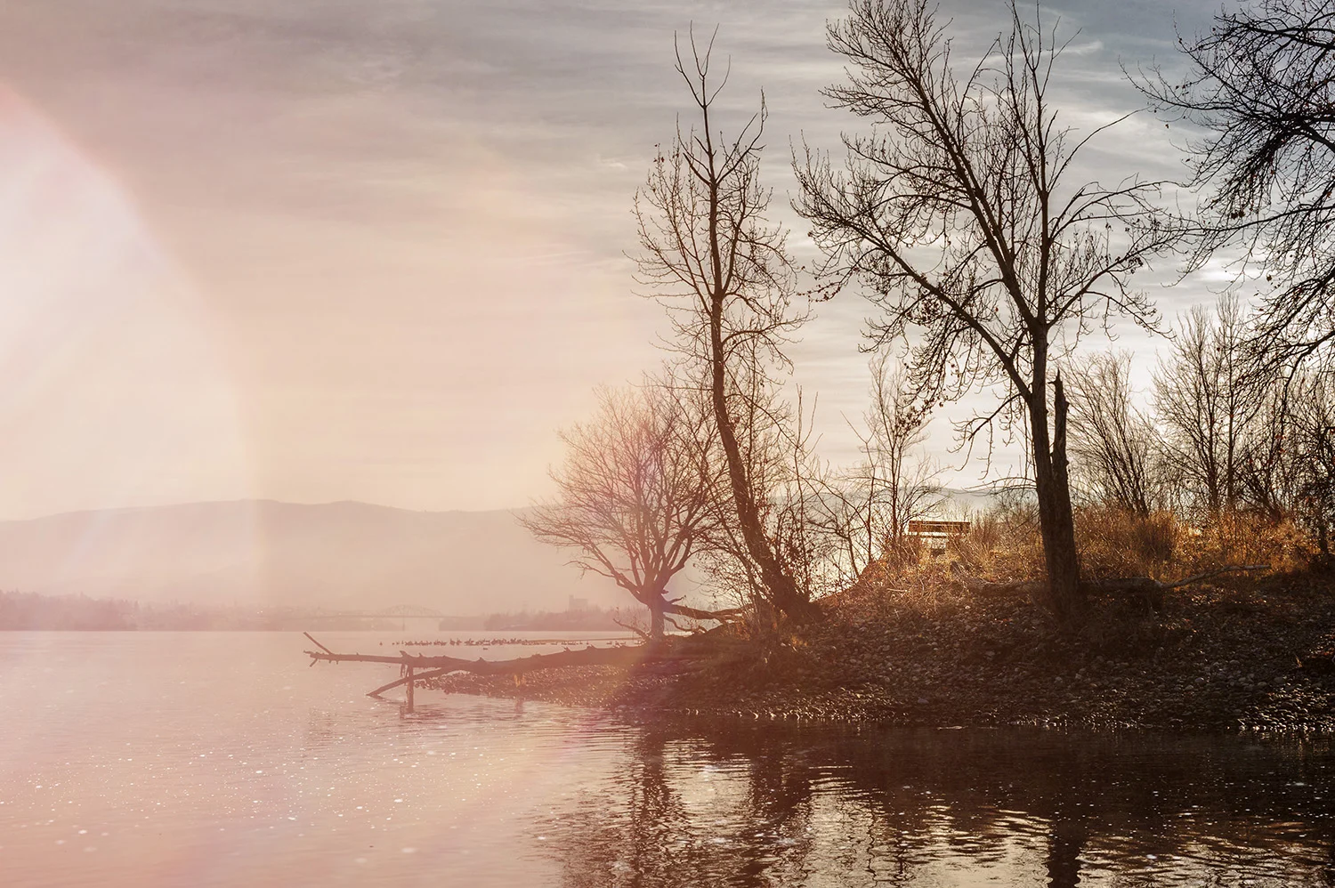 Morning Light