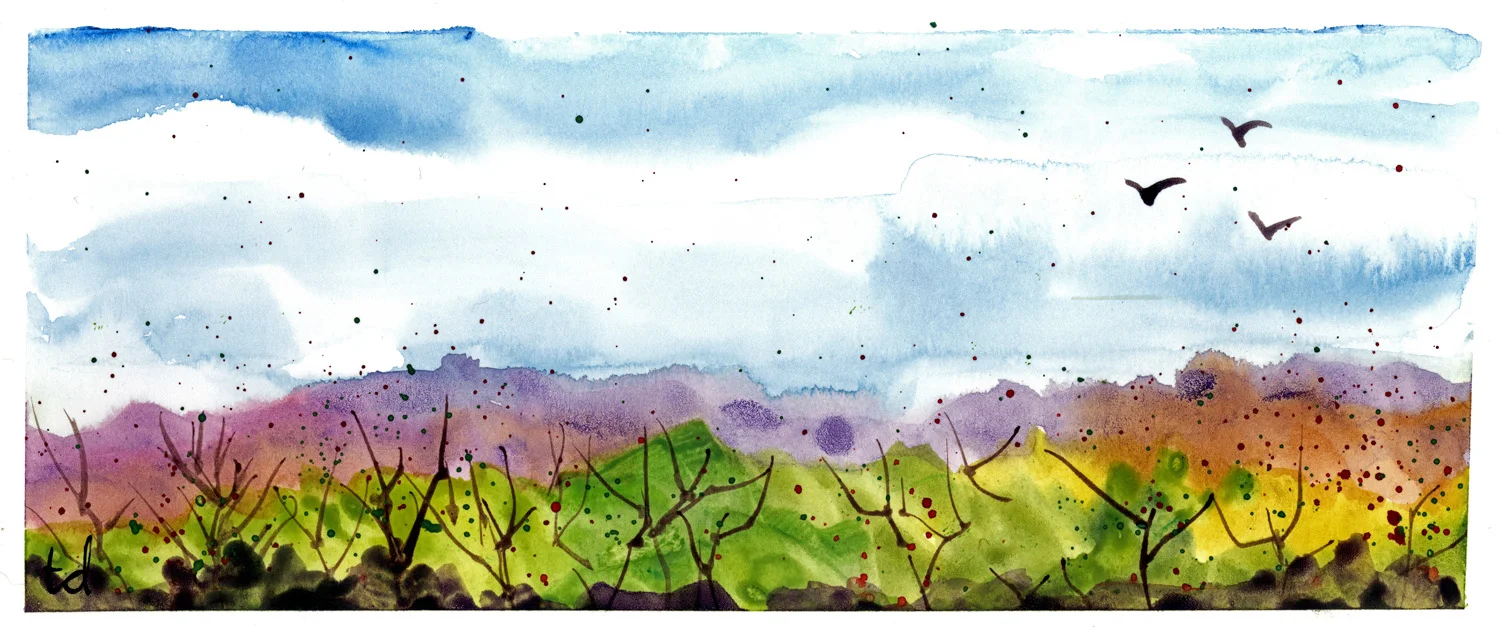 country landscape watercolor card.jpg