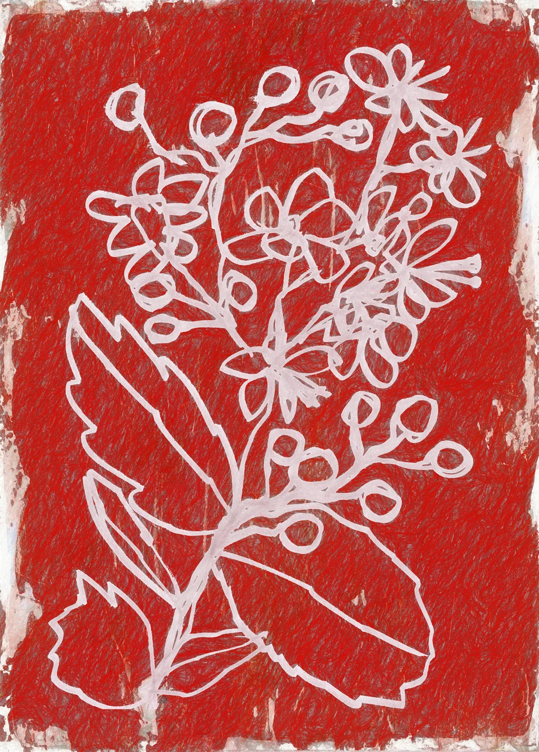 Peppermint Bloom.jpg