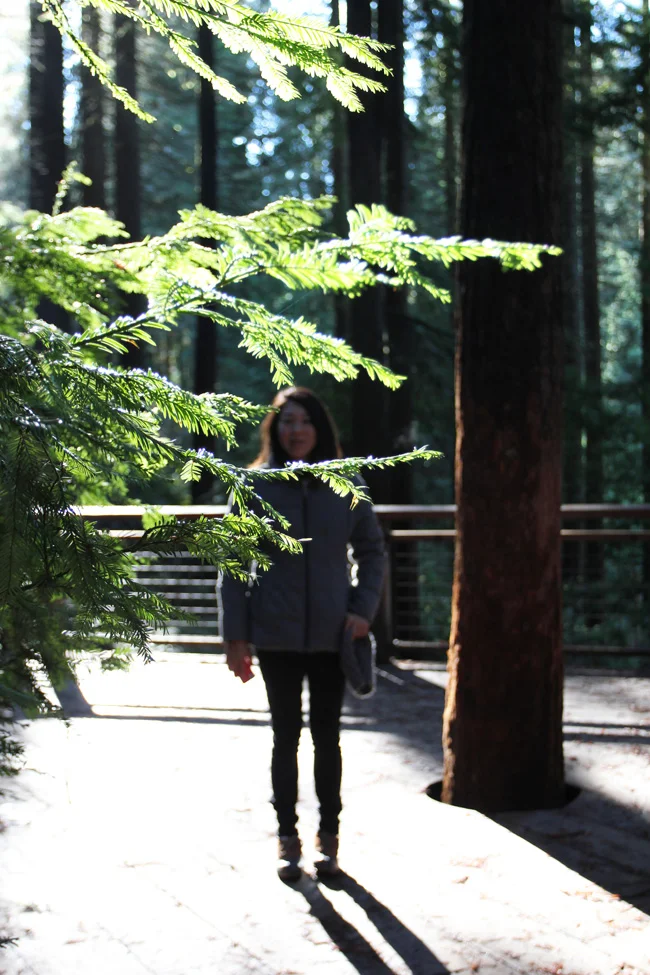 pnw-15