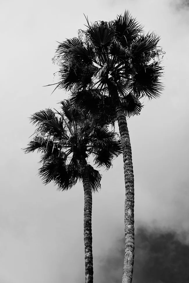 catalina-island-4.jpg