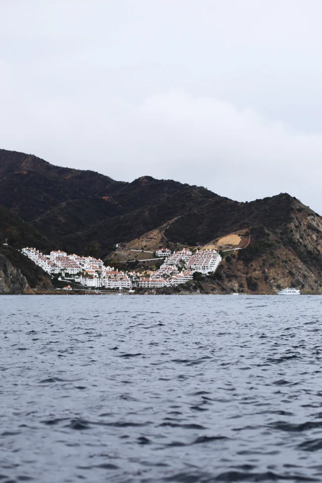 catalina-island-19.jpg