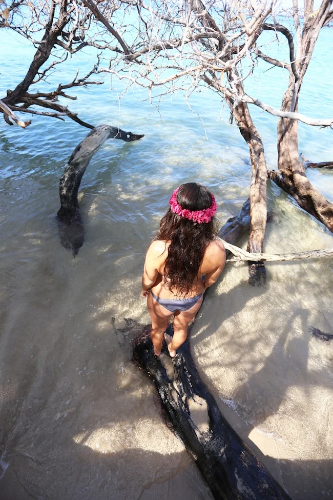 waialea-beach-3.jpg