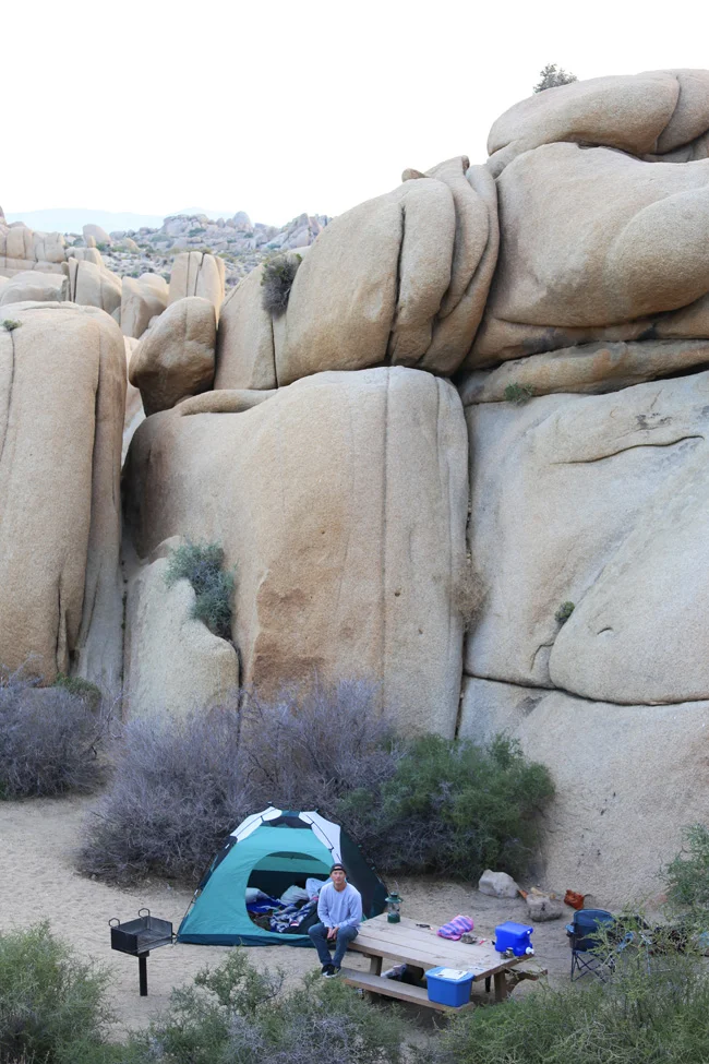 joshua-tree-12.jpg