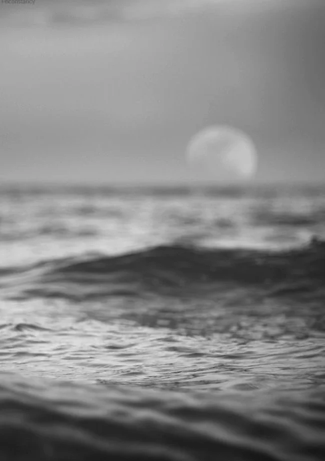 black-and-white-12.jpg