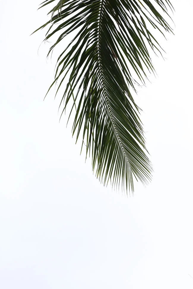 break-8.jpg