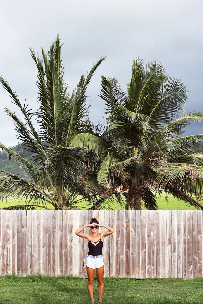 island-fever-2.jpg