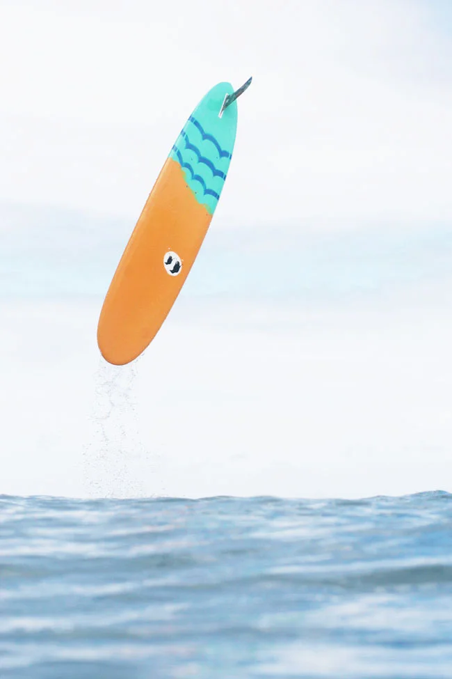 freak-swell-6.jpg