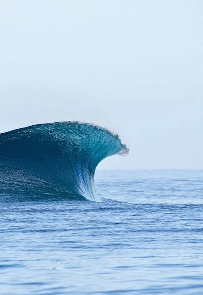 swell-2.jpg