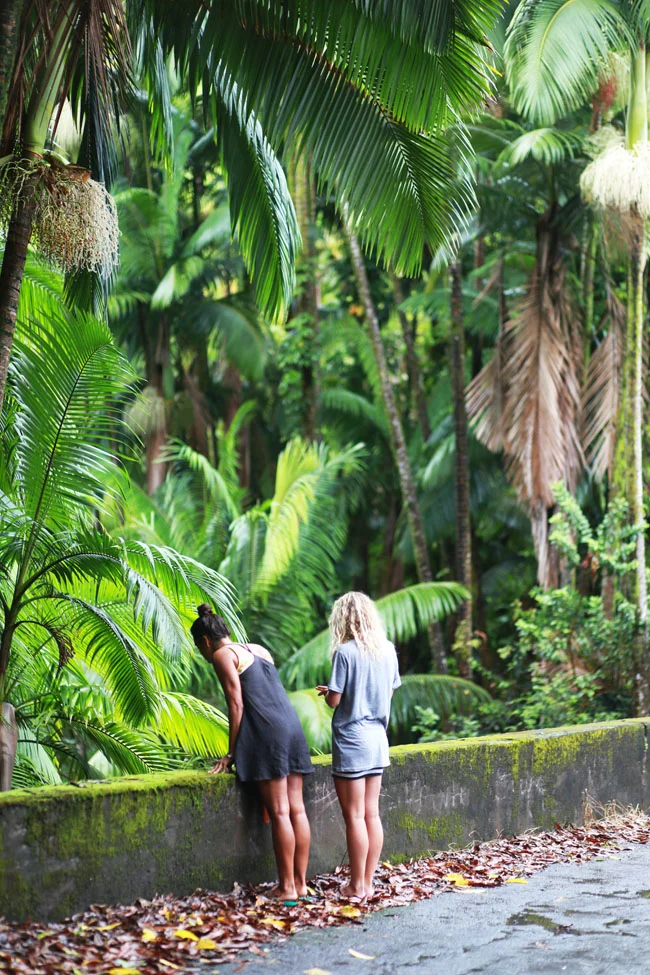 big-time-island-time-27.jpg