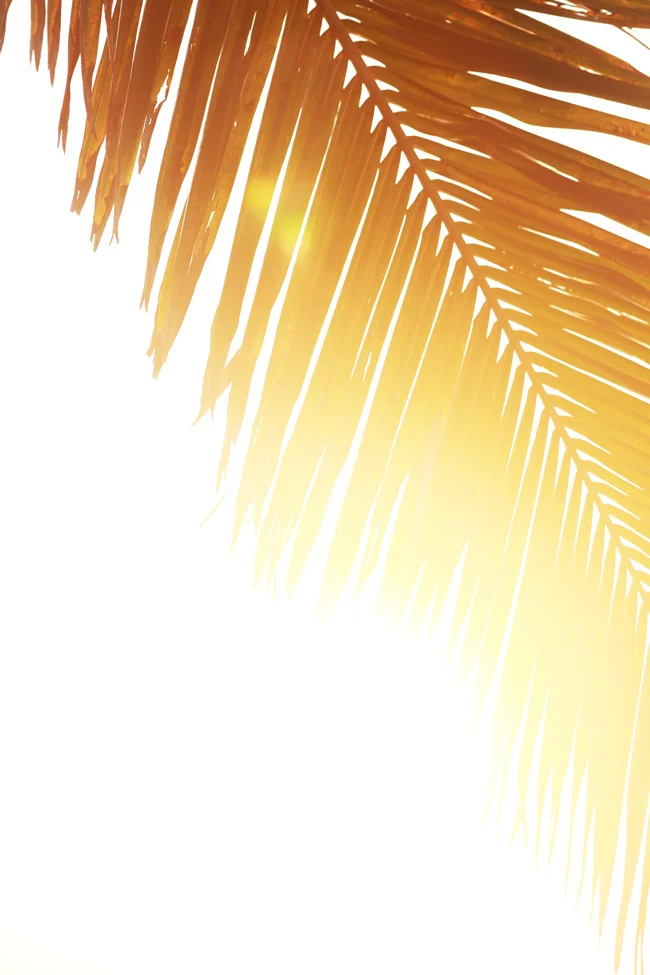 island-hop-18.jpg