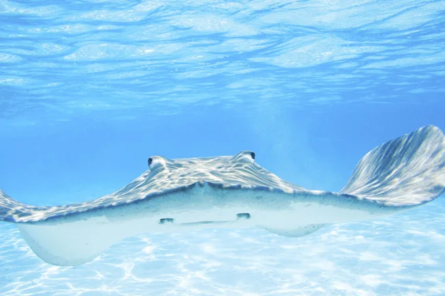 salt-water-therapy-3.jpg