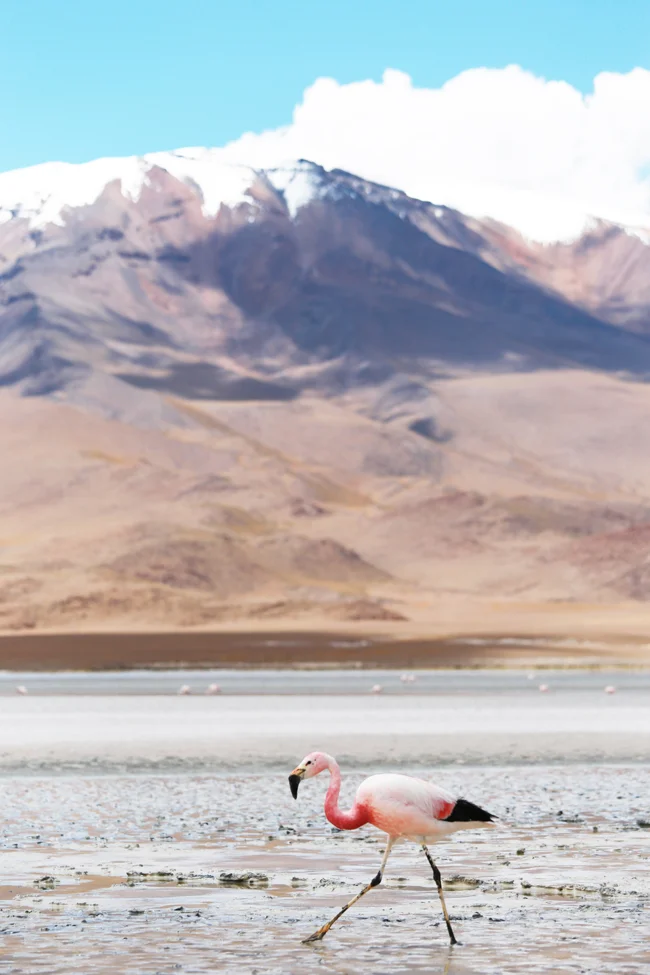 travel-diary-salar-de-uyuni-3-30.jpg