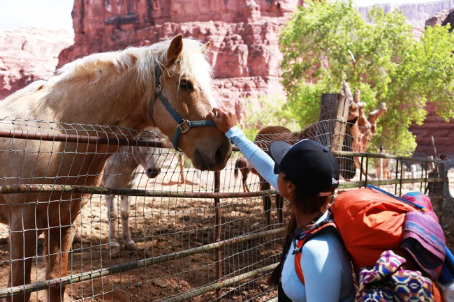 how-to-havasupai-7.jpg