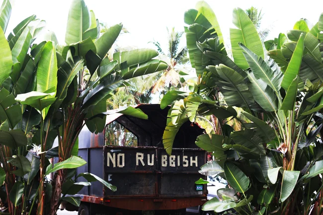 we-go-hilo-brah-27.jpg