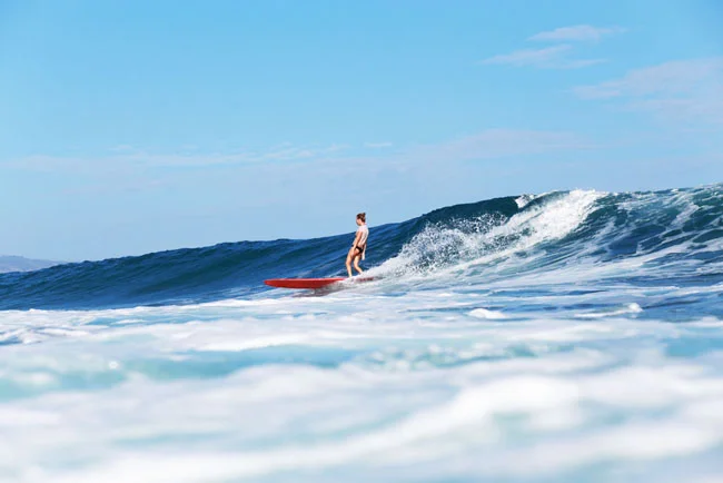 summer-swell-10.jpg