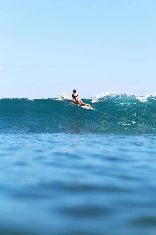 summer-swell-12.jpg
