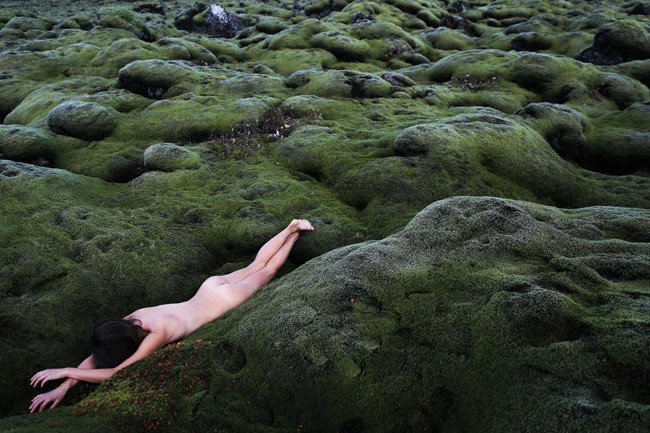 into-the-moss-4.jpg