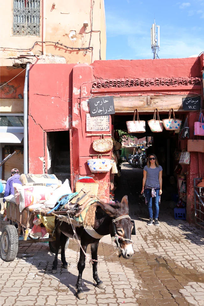 travel-diaries-marrakech-3.jpg