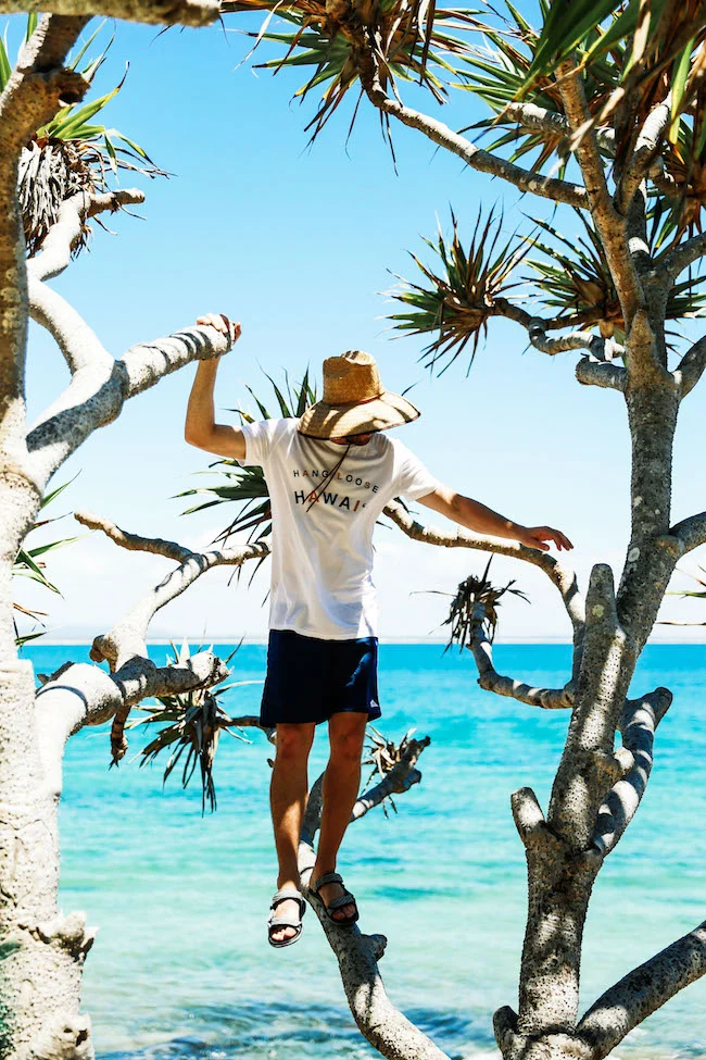 teva-australia-noosa-teatree-17.jpg