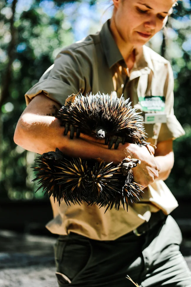 teva-australia-currumbinwildlifesanctuary-4.jpg