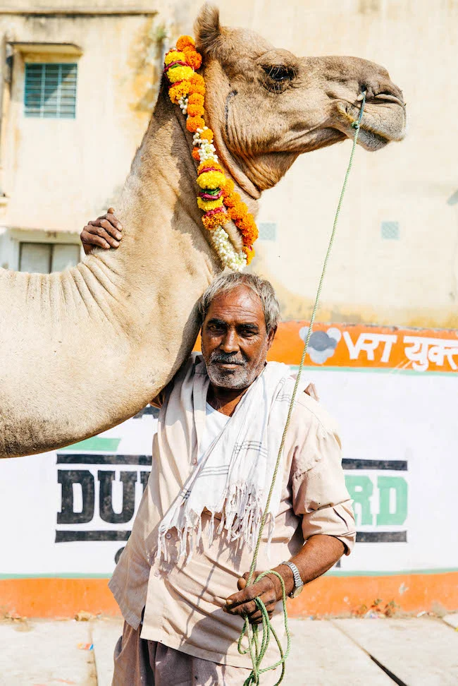 jaipur-189.jpg